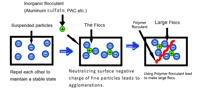 Polyacrylamide polymer flocculant